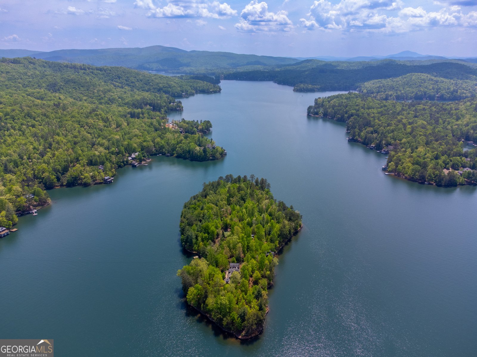 1 Burton Island Tiger - Photo 87