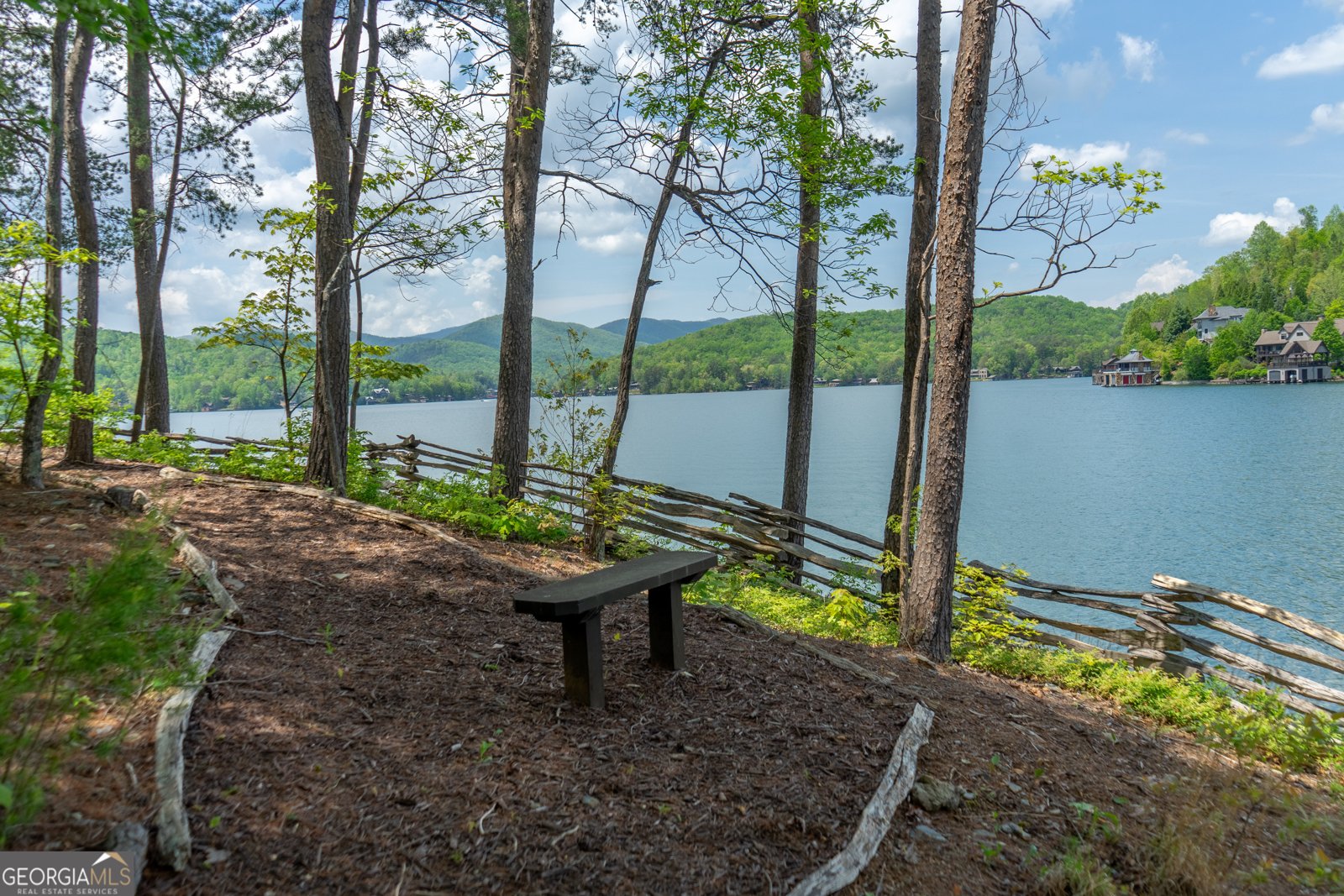 1 Burton Island Tiger - Photo 88