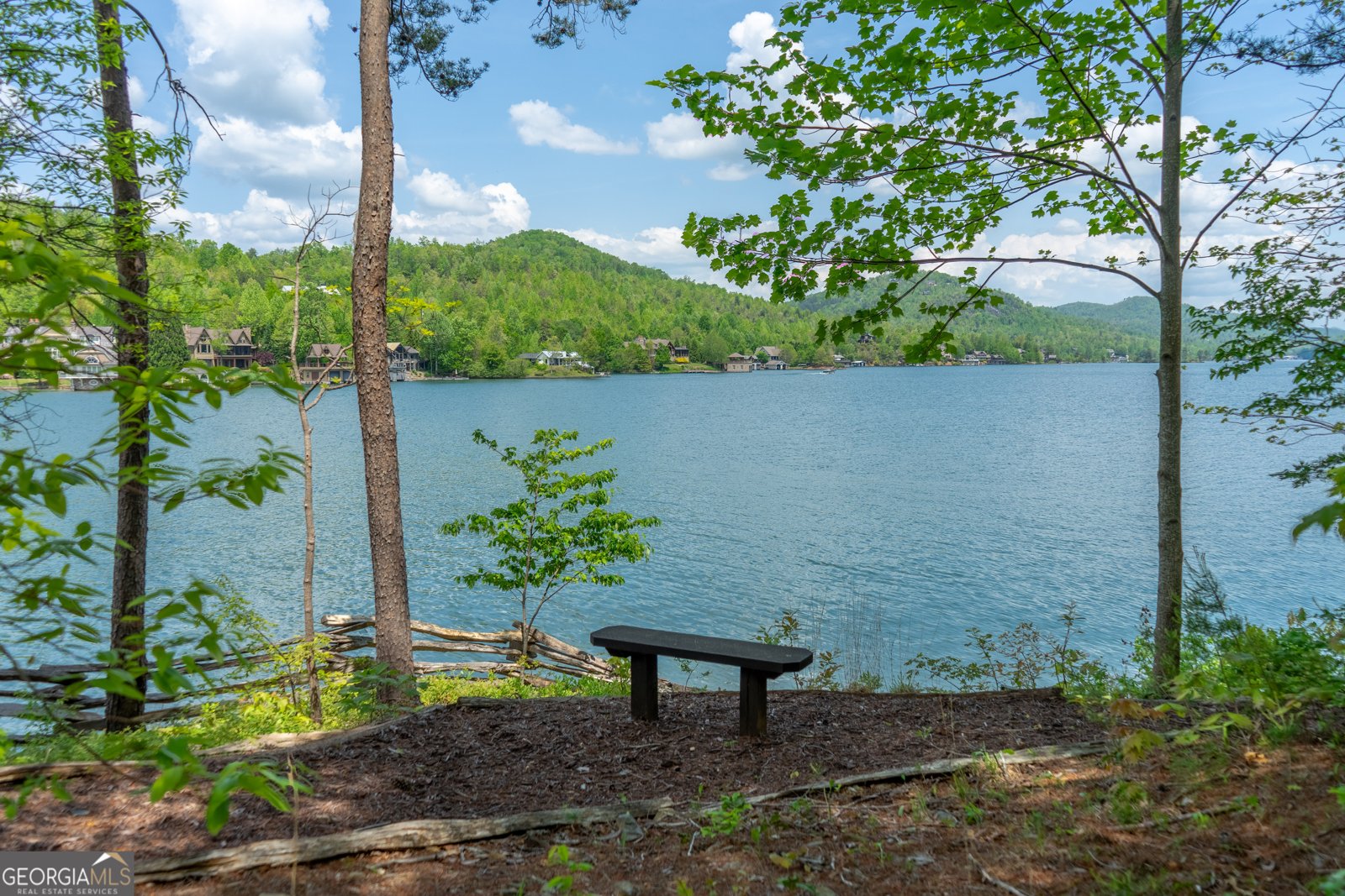 1 Burton Island Tiger - Photo 89