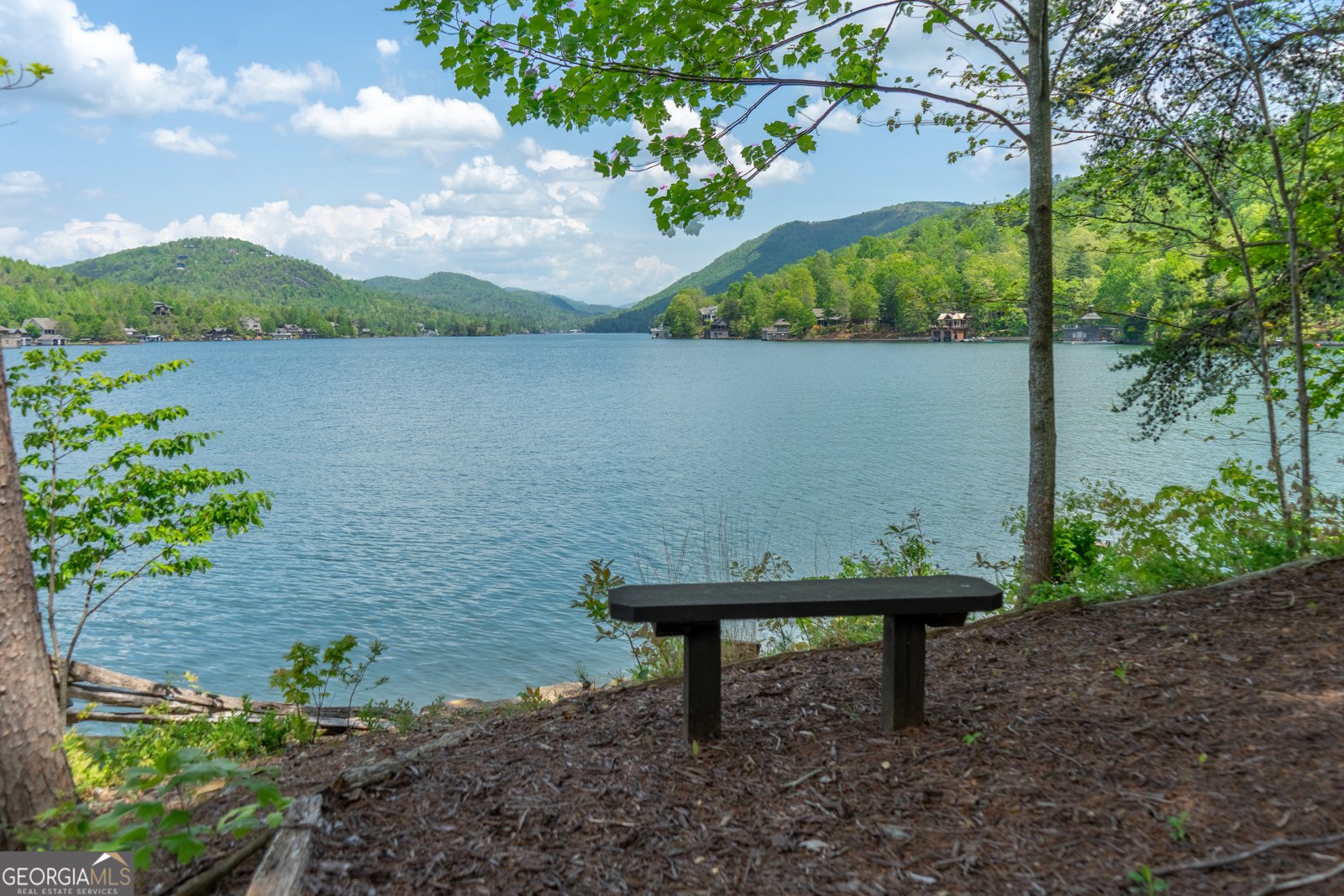 1 Burton Island Tiger - Photo 9