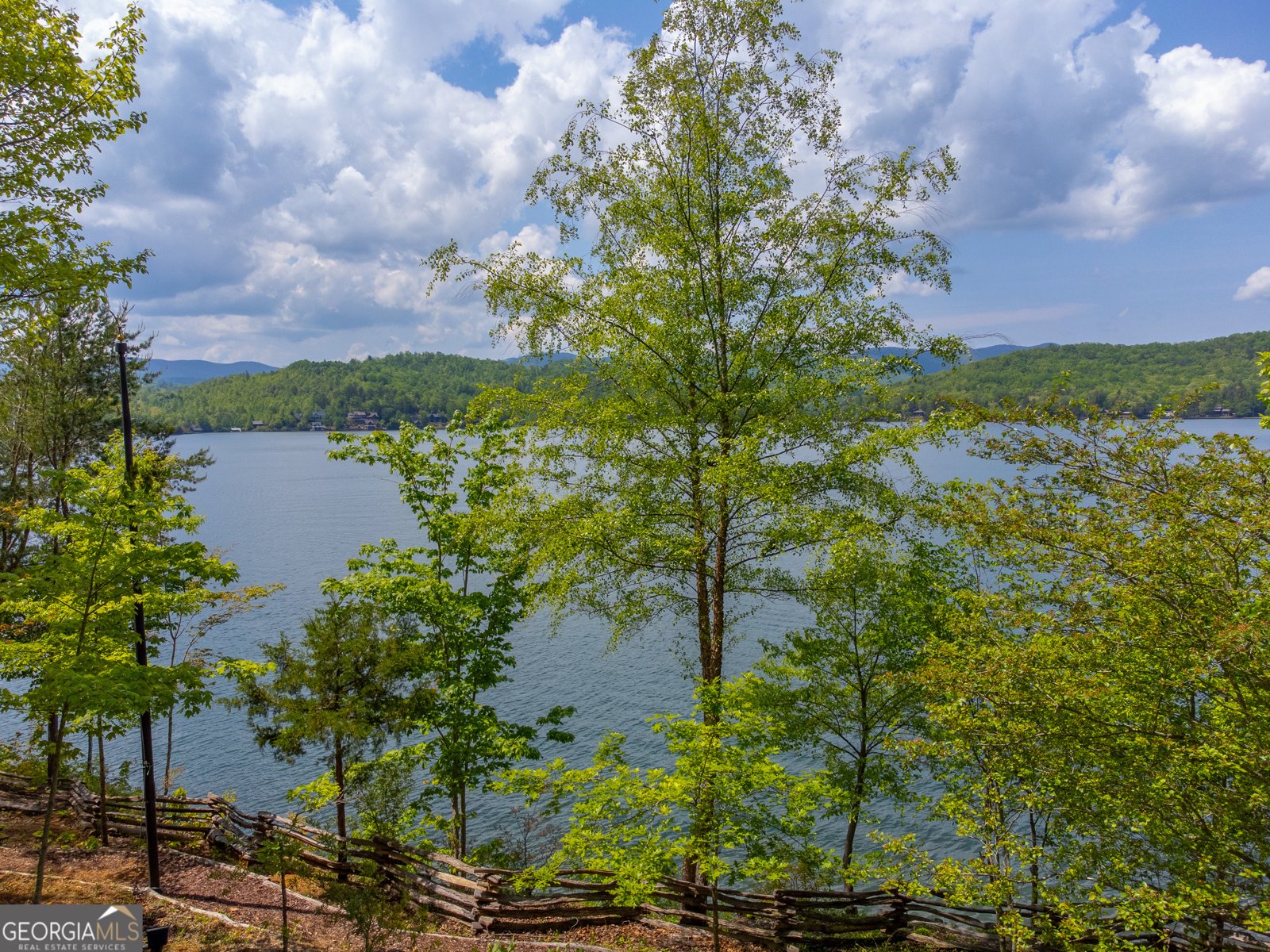 1 Burton Island Tiger - Photo 90