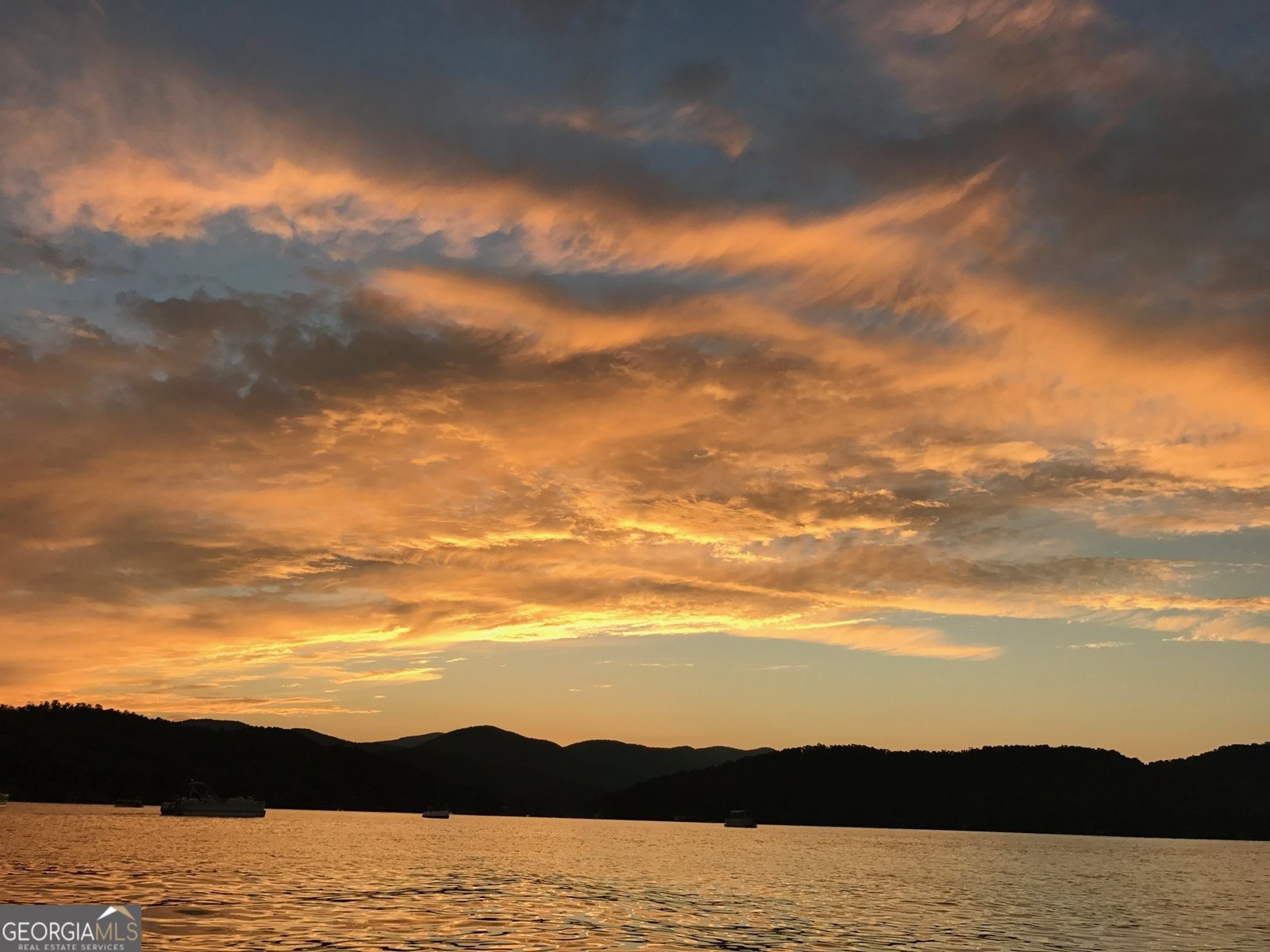 1 Burton Island Tiger - Photo 95