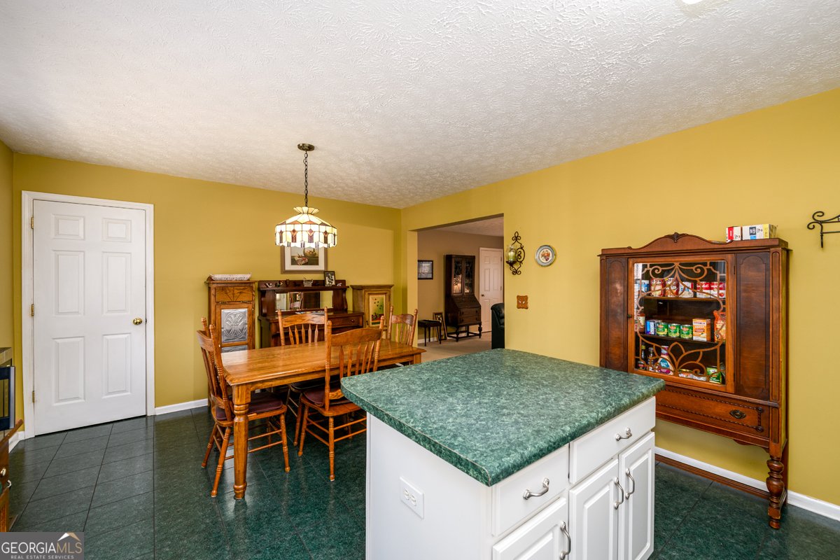 255 Bob Holman Road Athens - Photo 19