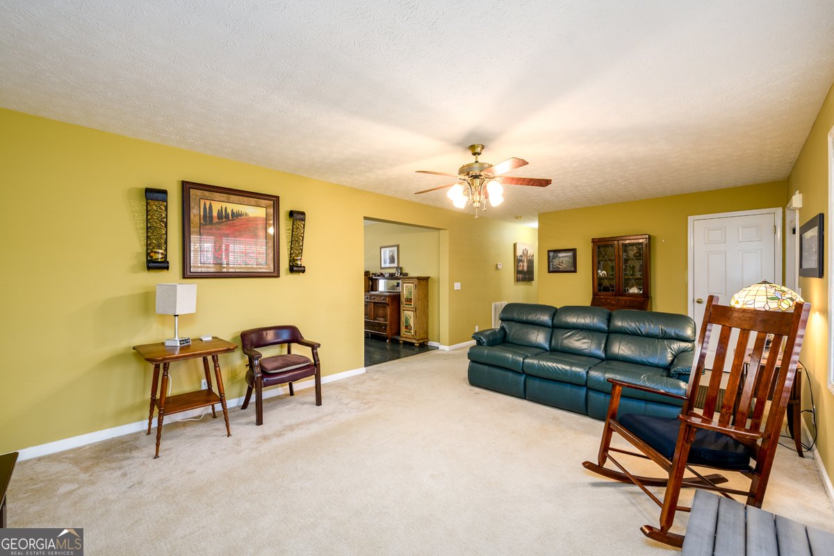 255 Bob Holman Road Athens - Photo 25