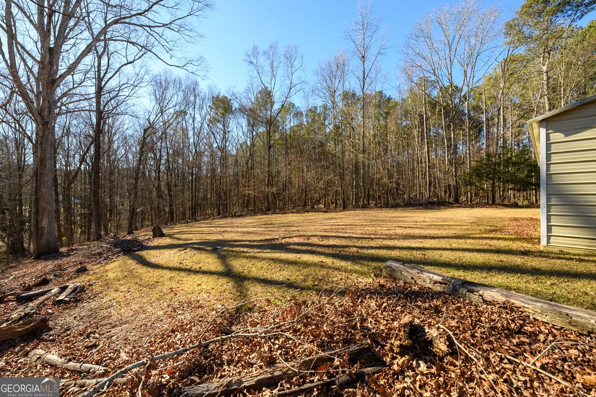 255 Bob Holman Road Athens - Photo 37