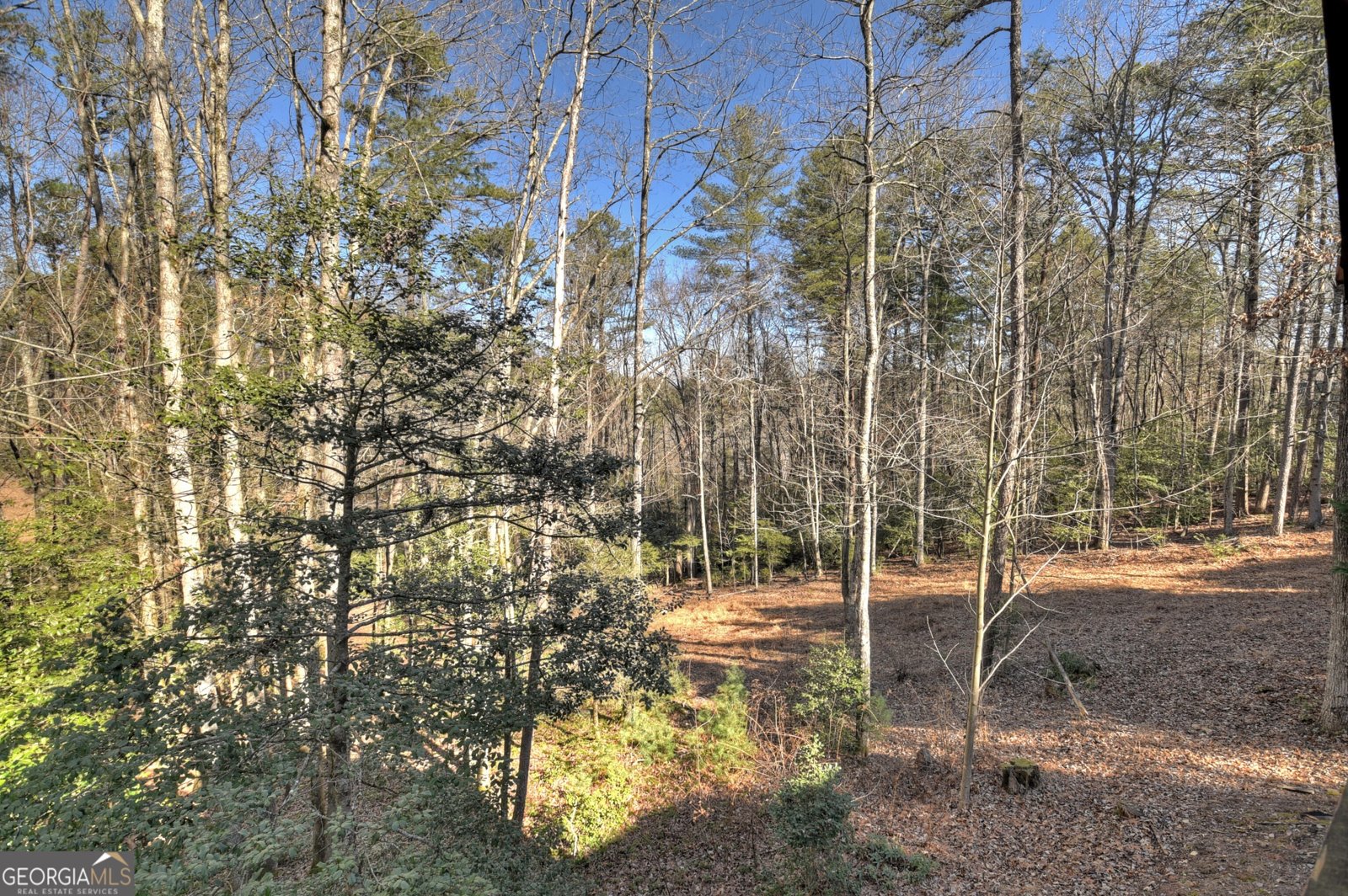 930 Power Dam Road Blue Ridge - Photo 22