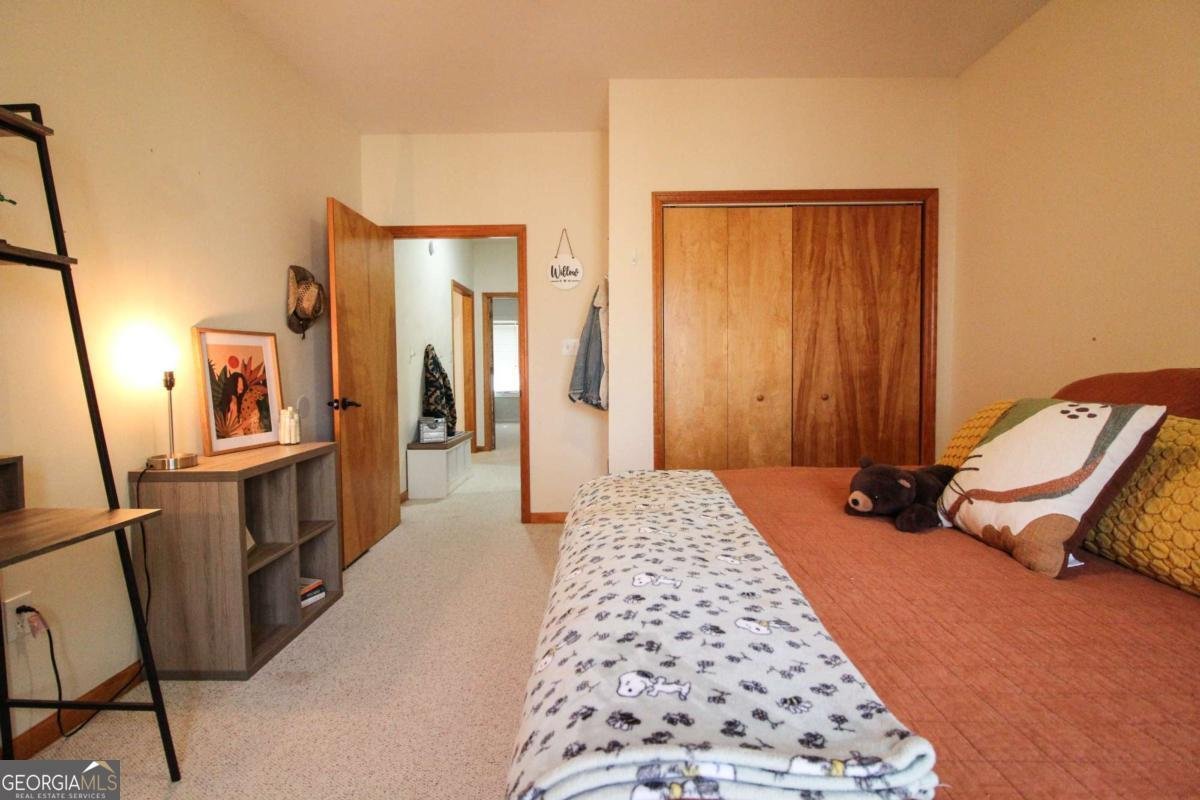 123 Buckeye Branch Athens - Photo 28