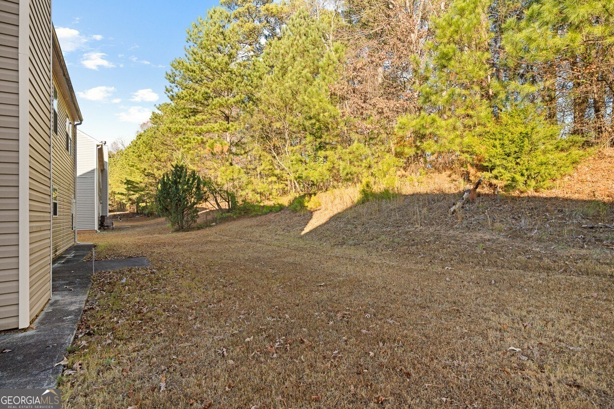 6232 Polar Fox Court Riverdale - Photo 29