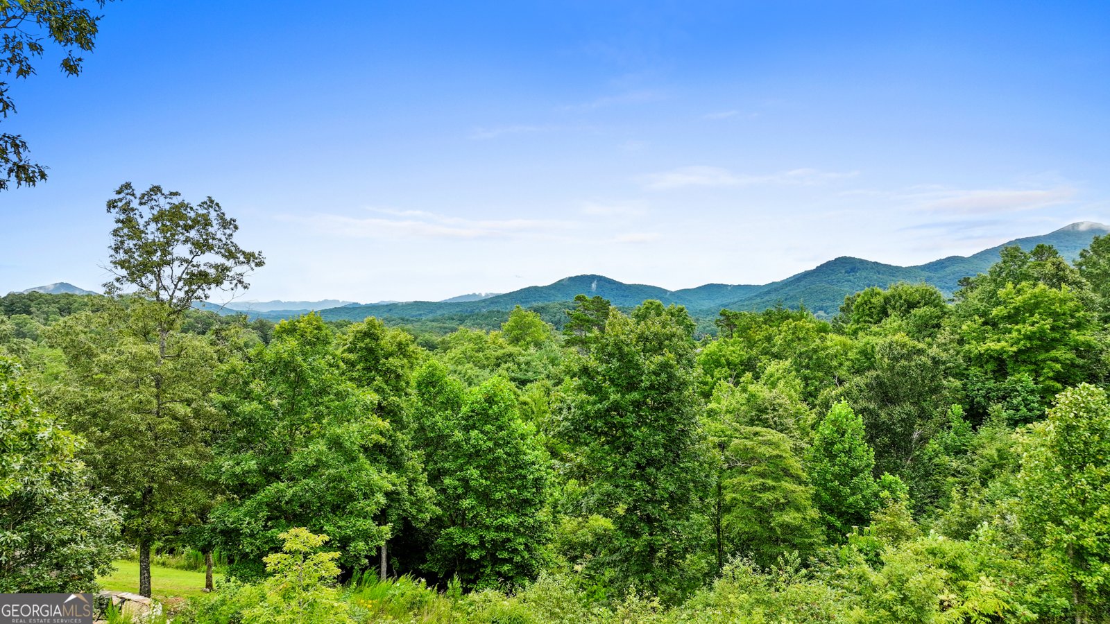 21 That Way Young Harris - Photo 10