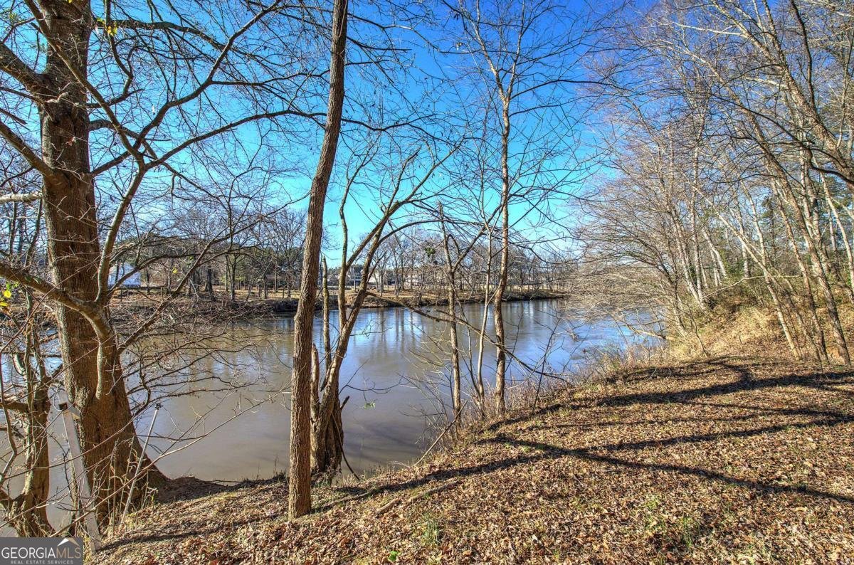 47 Cliffhanger Point Euharlee - Photo 59