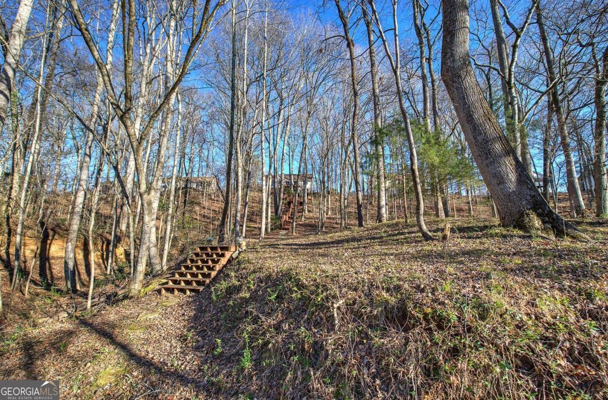 47 Cliffhanger Point Euharlee - Photo 60