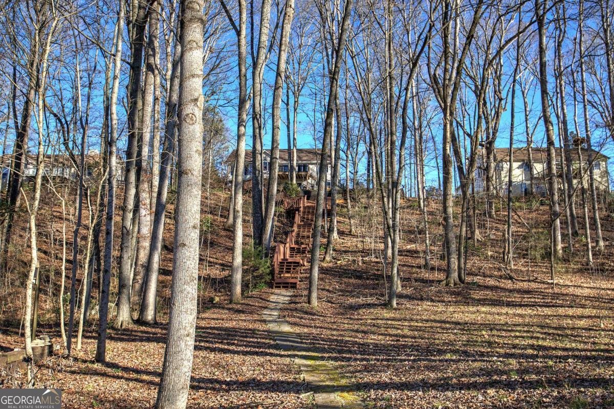 47 Cliffhanger Point Euharlee - Photo 61