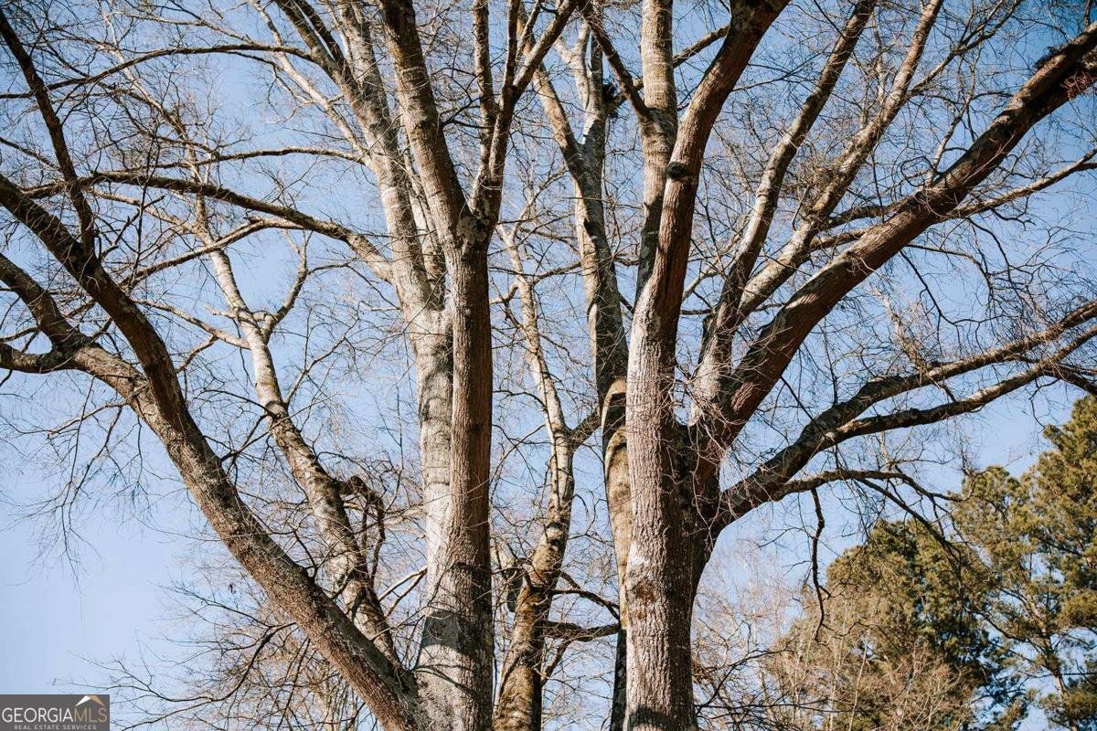 119 Ralph Bridges Road Lexington - Photo 41