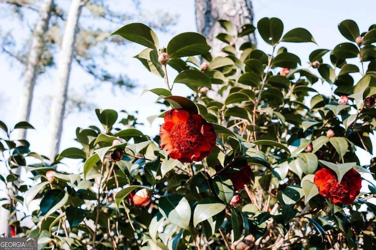 119 Ralph Bridges Road Lexington - Photo 45