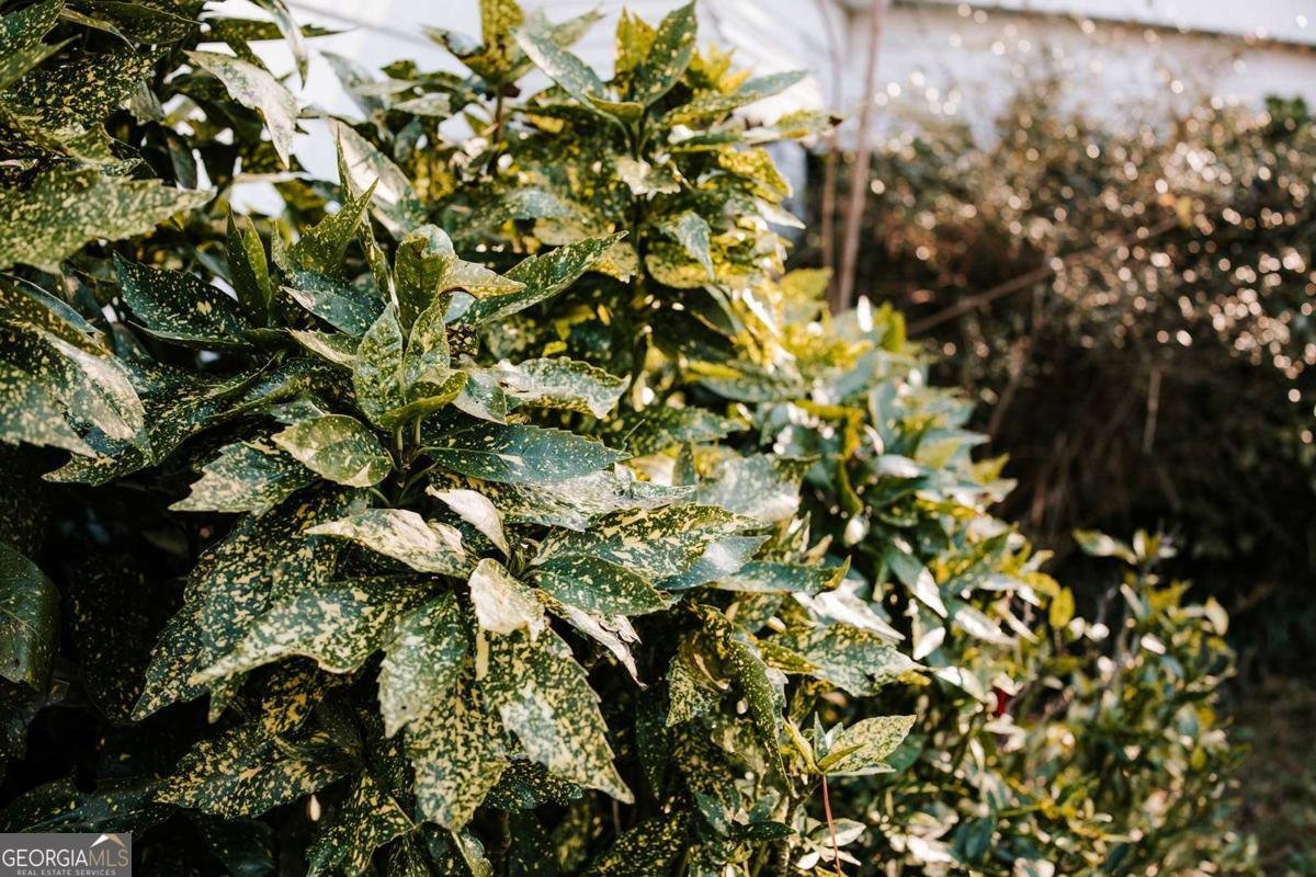 119 Ralph Bridges Road Lexington - Photo 46