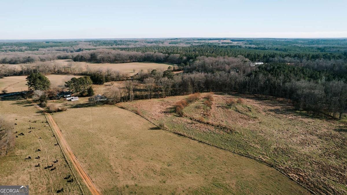 119 Ralph Bridges Road Lexington - Photo 49