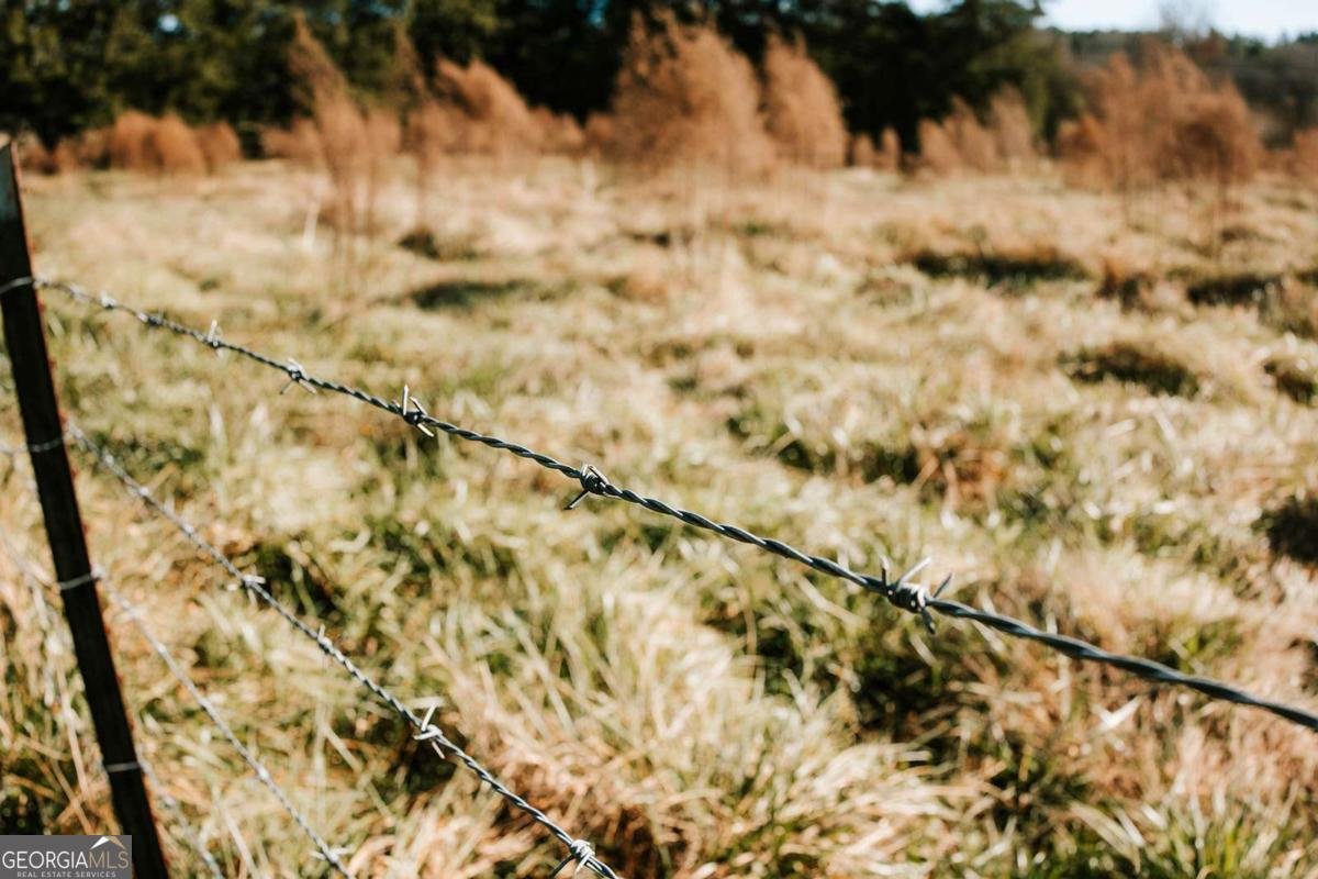 119 Ralph Bridges Road Lexington - Photo 50