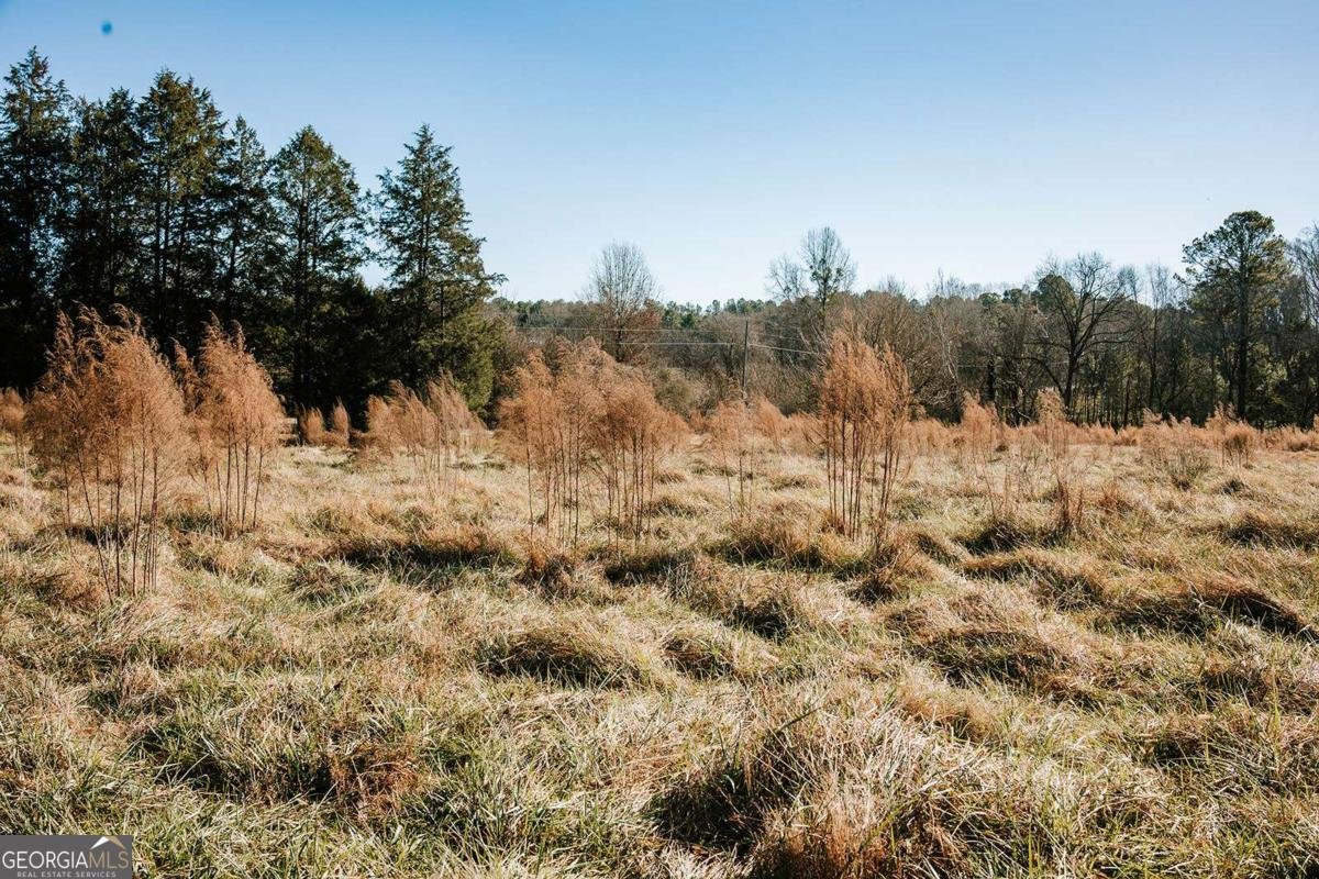 119 Ralph Bridges Road Lexington - Photo 51