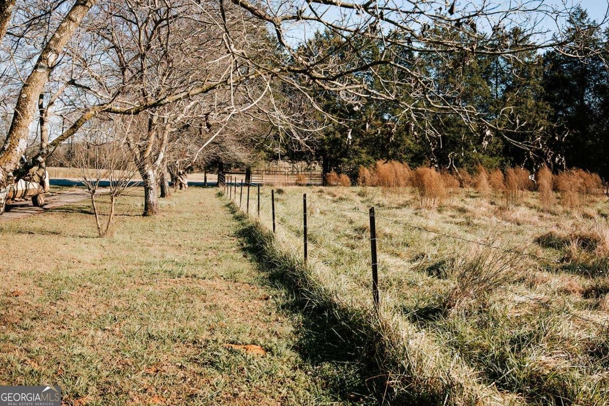 119 Ralph Bridges Road Lexington - Photo 52