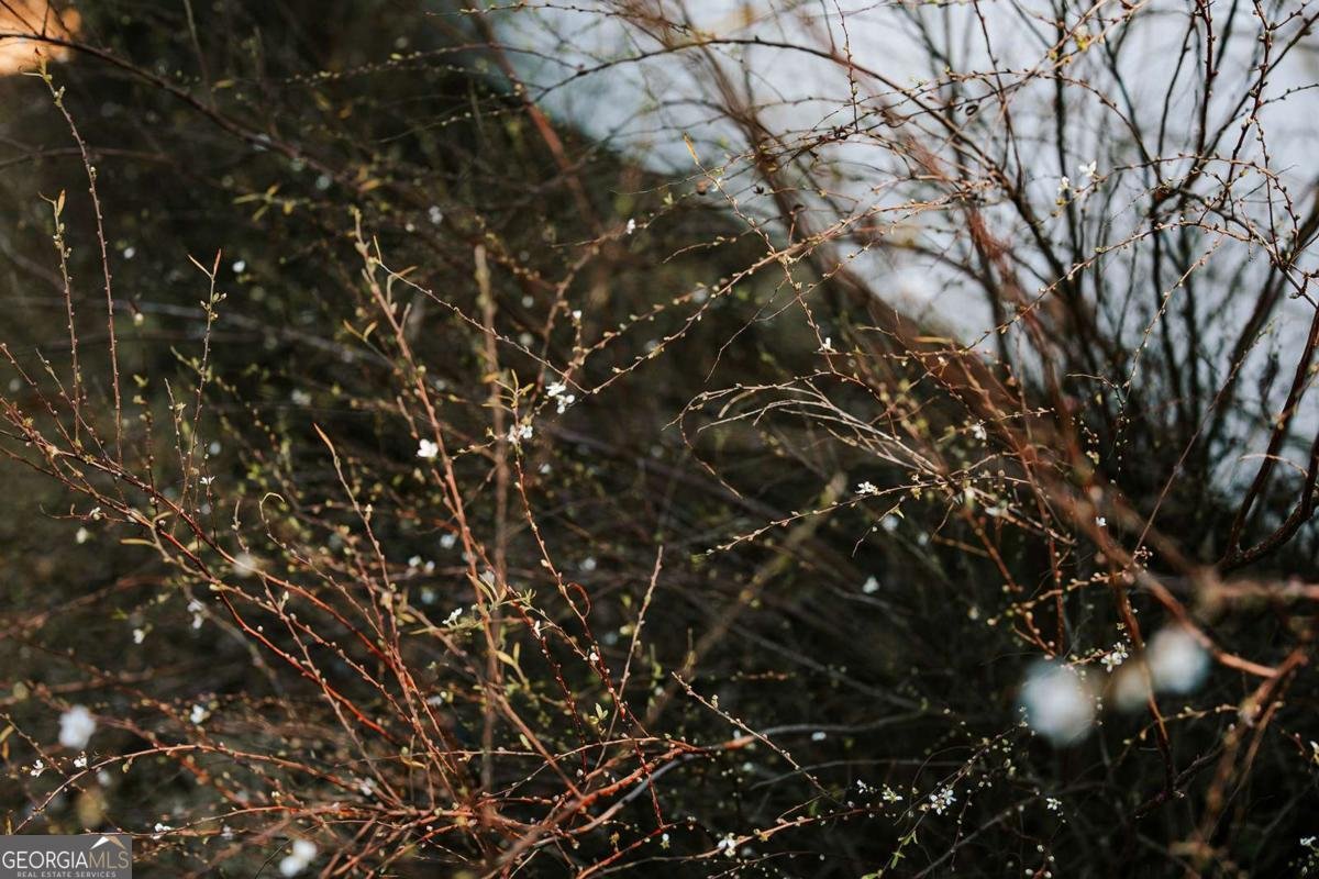 119 Ralph Bridges Road Lexington - Photo 54