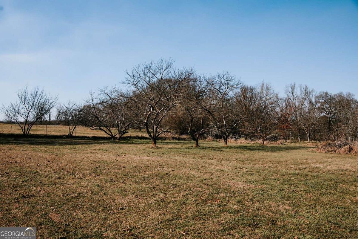 119 Ralph Bridges Road Lexington - Photo 55