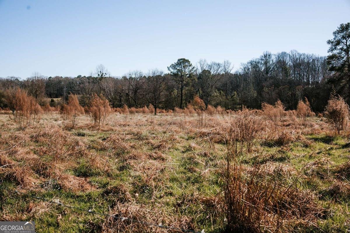 119 Ralph Bridges Road Lexington - Photo 56