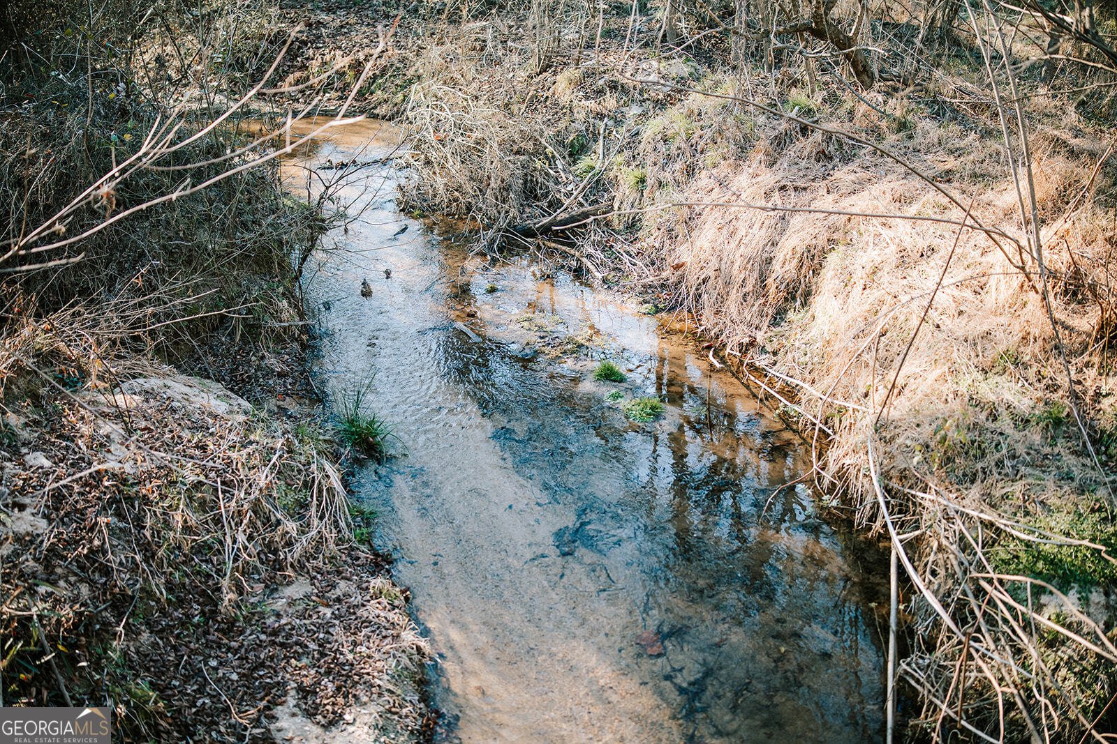 119 Ralph Bridges Road Lexington - Photo 65