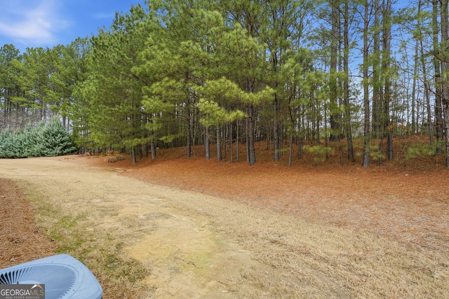 163 Hawthorne Ridge Circle Dallas - Photo 43