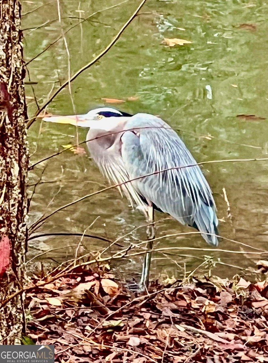 50 Birch Road Covington - Photo 70