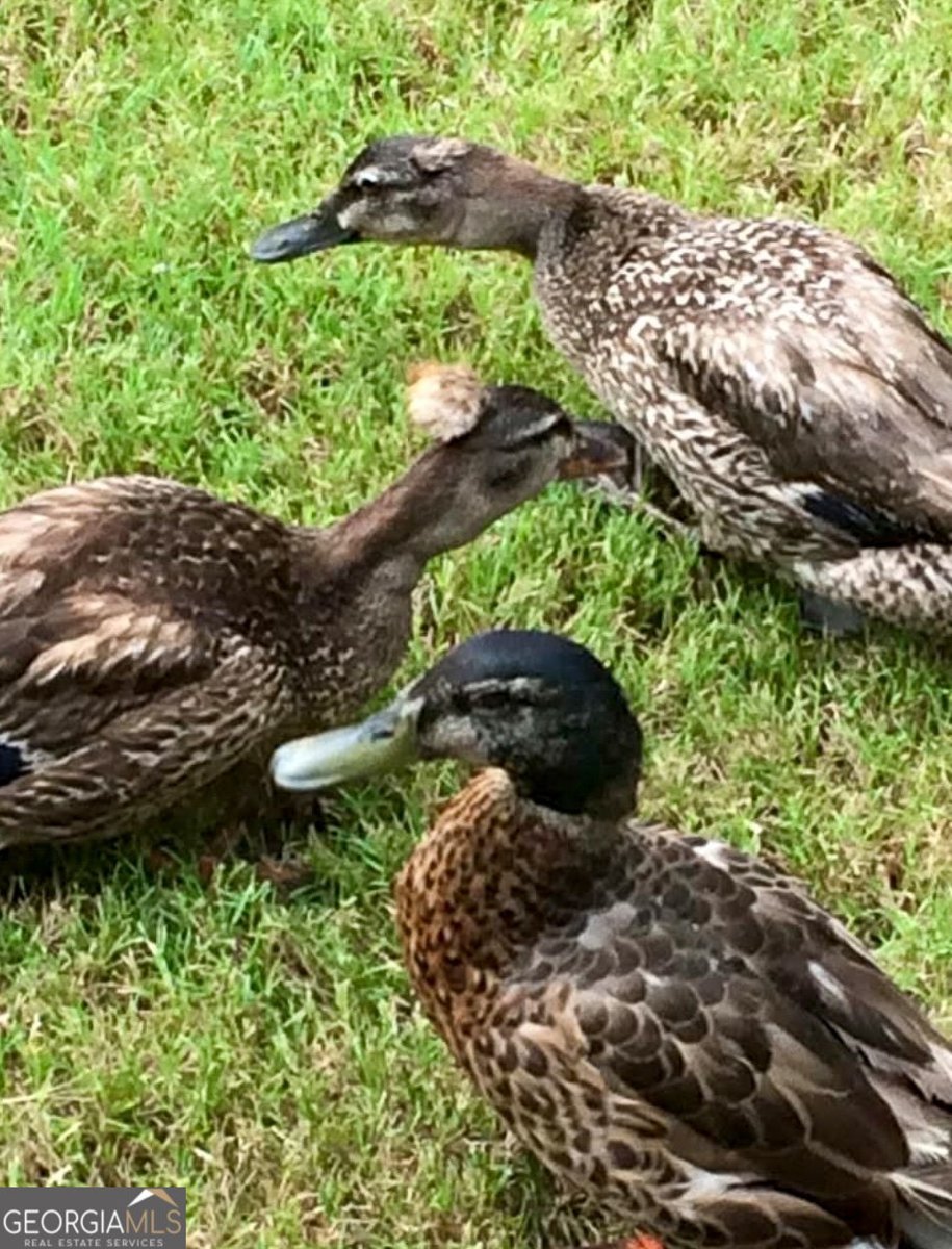 50 Birch Road Covington - Photo 73