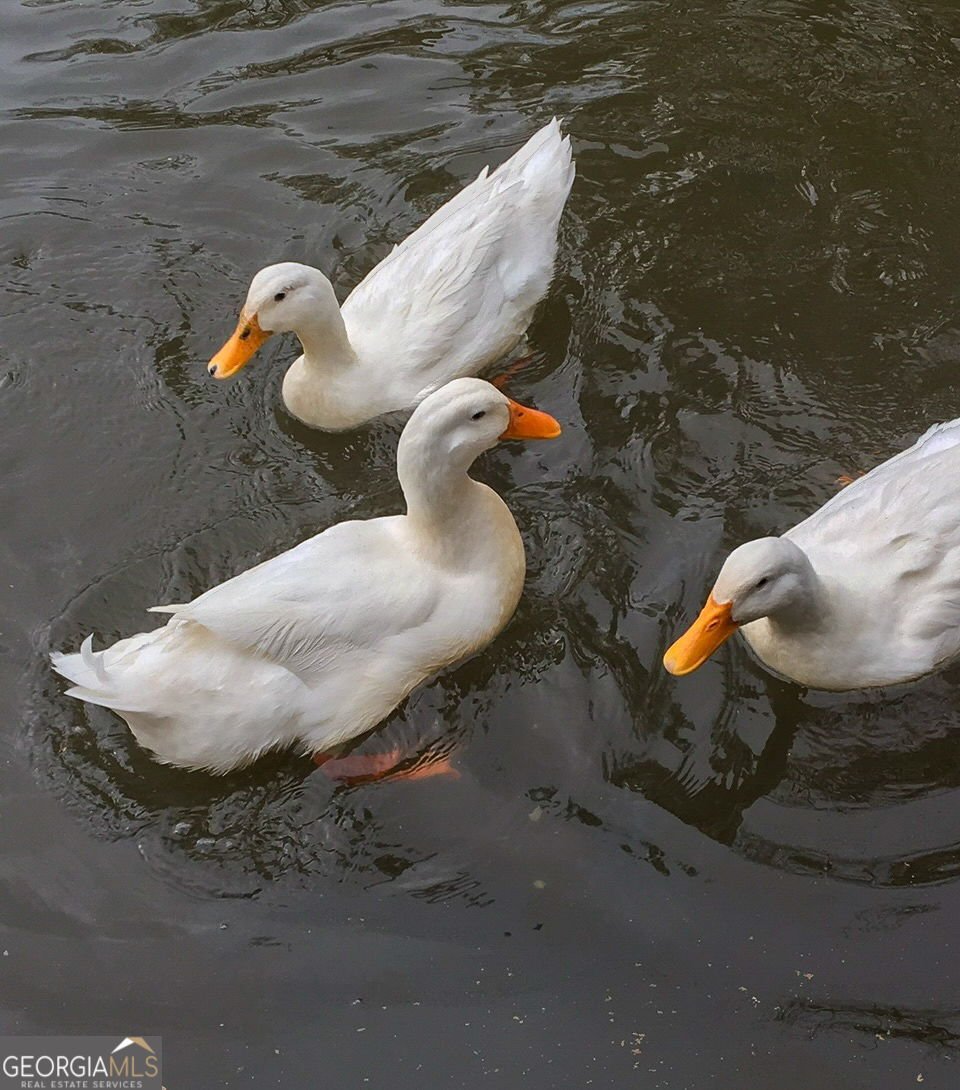 50 Birch Road Covington - Photo 74