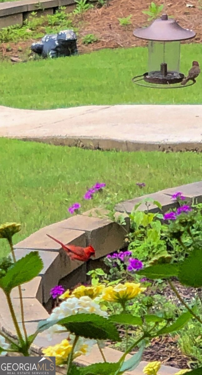 50 Birch Road Covington - Photo 77