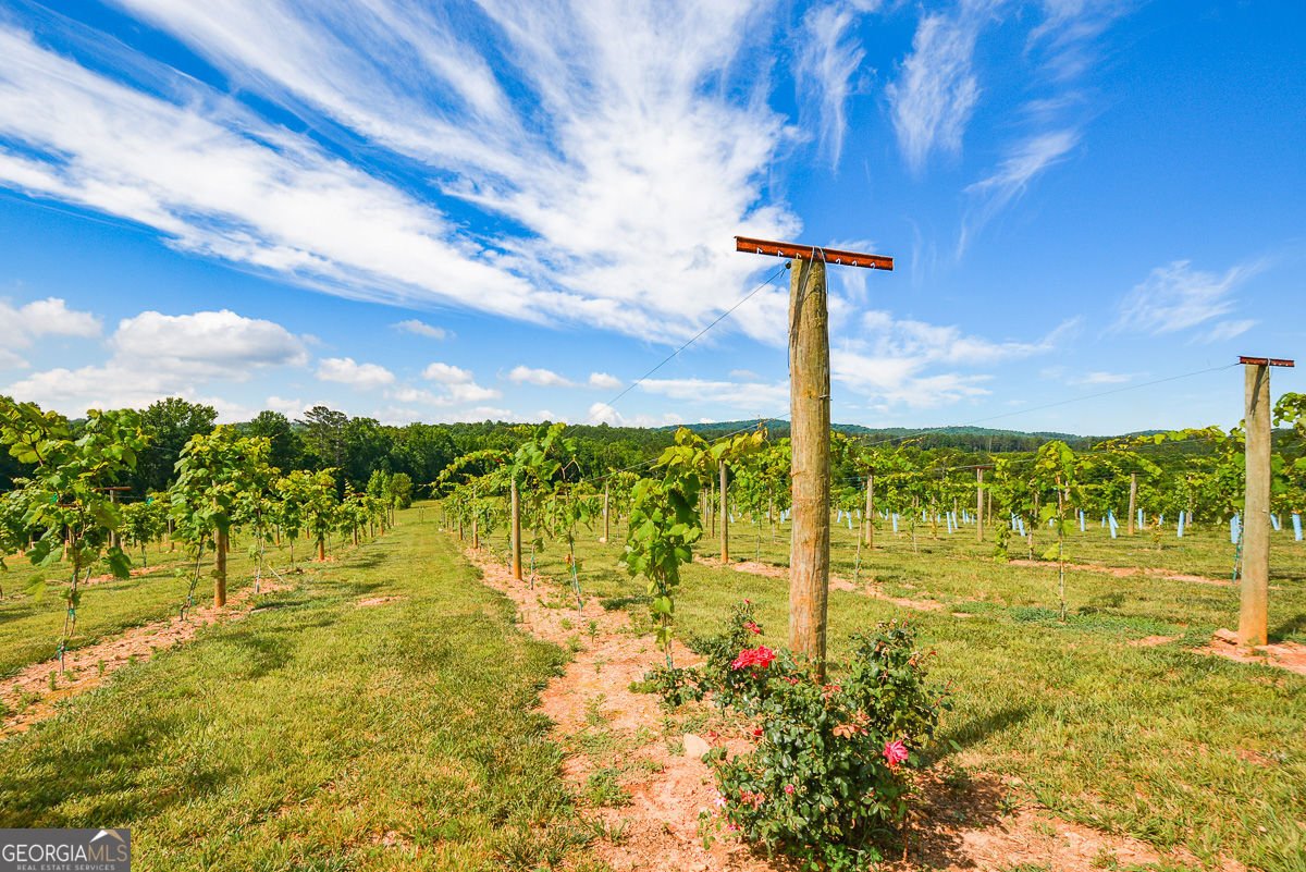 119 Inland Drive Talking Rock - Photo 10