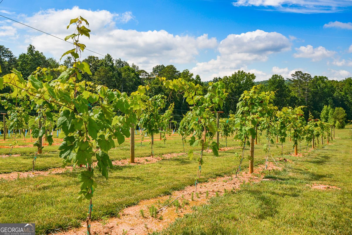 119 Inland Drive Talking Rock - Photo 11