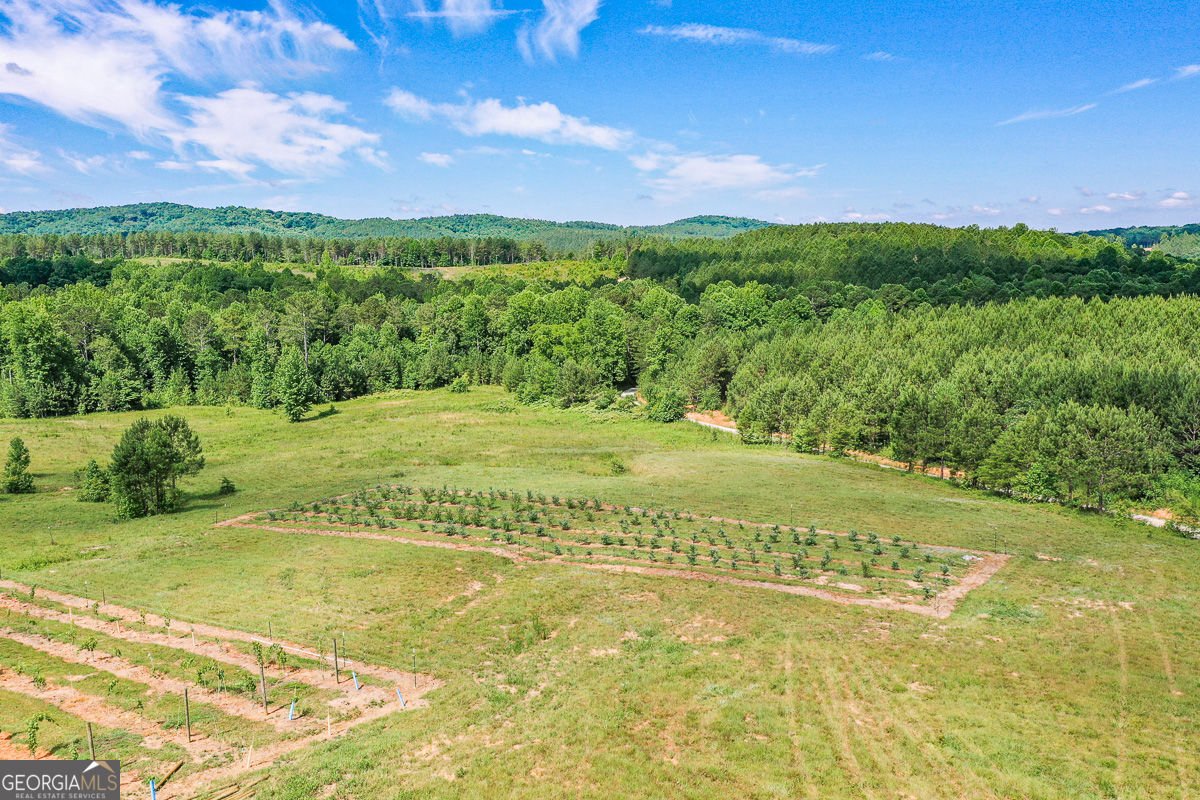 119 Inland Drive Talking Rock - Photo 13