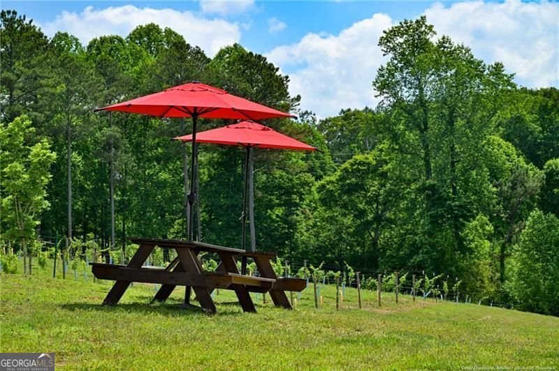 119 Inland Drive Talking Rock - Photo 14