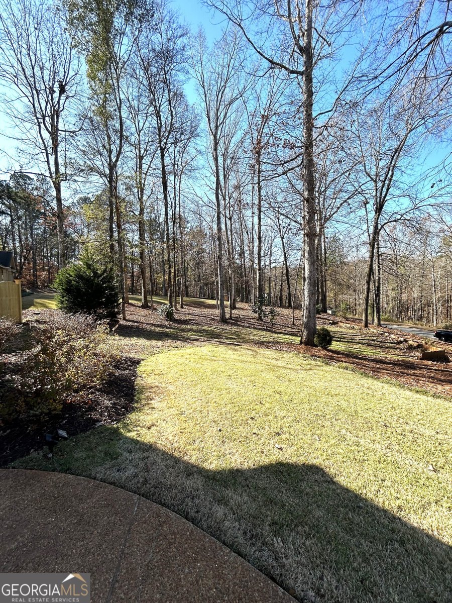 114 Red Oak Trail Lagrange - Photo 7