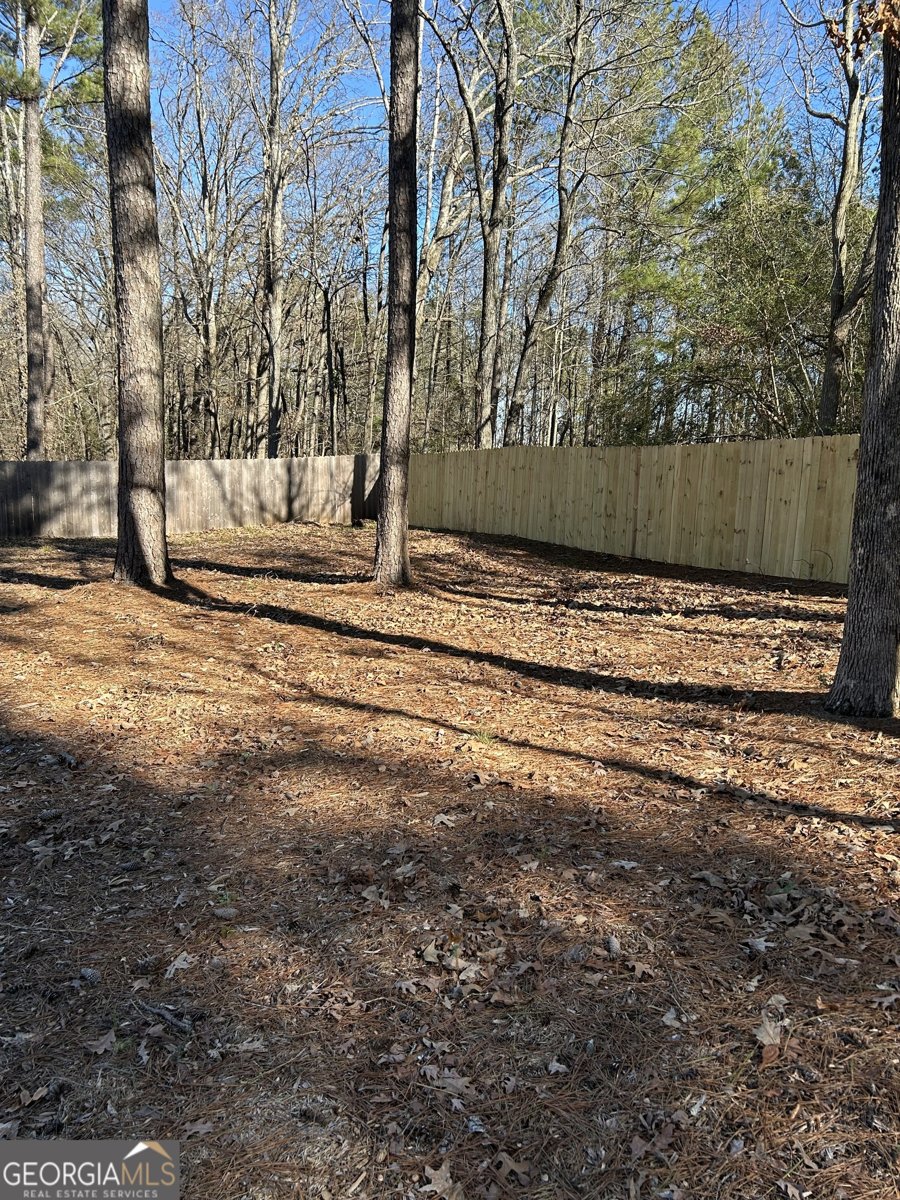 114 Red Oak Trail Lagrange - Photo 70