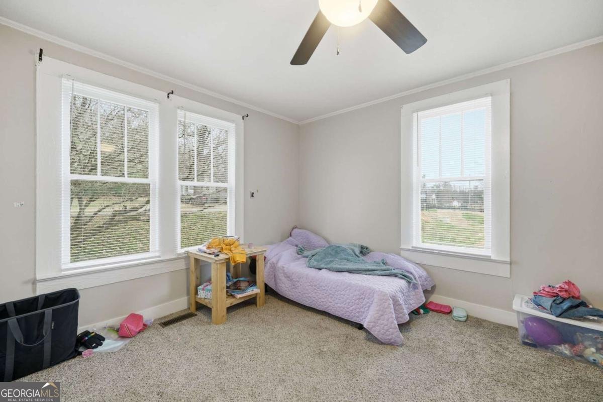 508 Old Canton Road Ball Ground - Photo 23