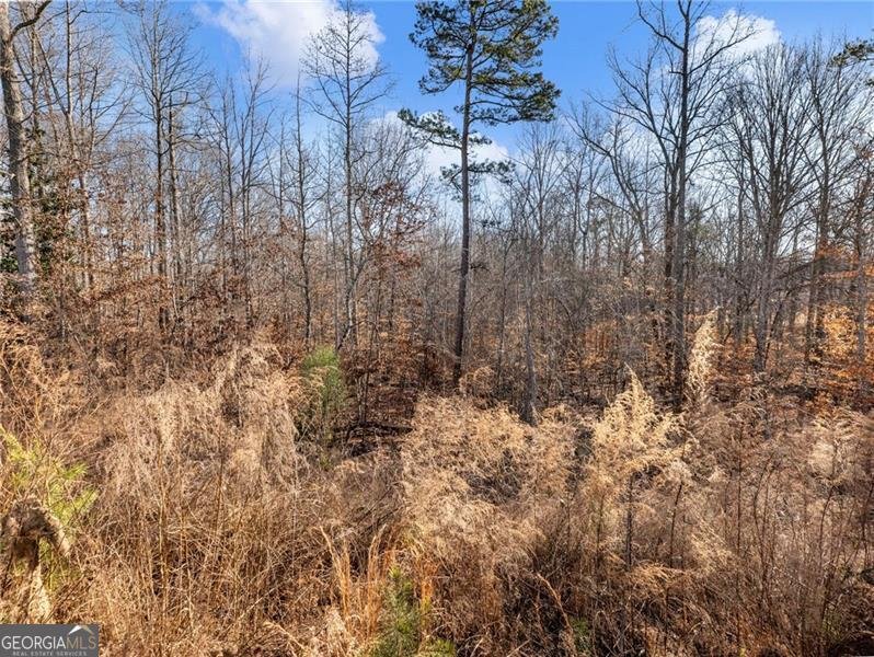 147 Cedar Lane Dawsonville - Photo 40