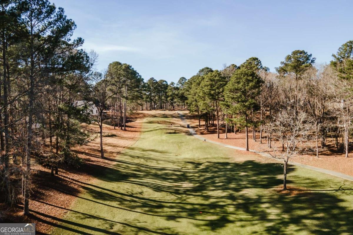 1040 Spy Glass Hill Greensboro - Photo 48