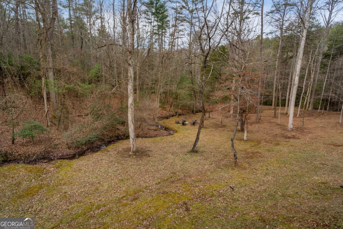 15 Bootleg Mountain Road Morganton - Photo 47