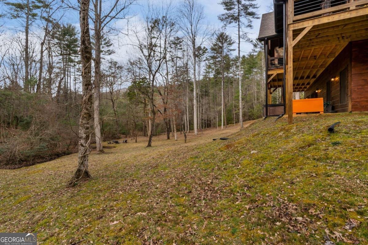 15 Bootleg Mountain Road Morganton - Photo 51