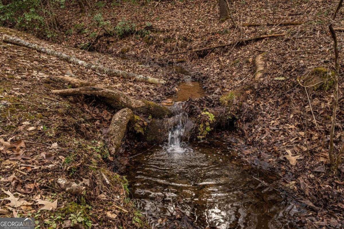 15 Bootleg Mountain Road Morganton - Photo 53