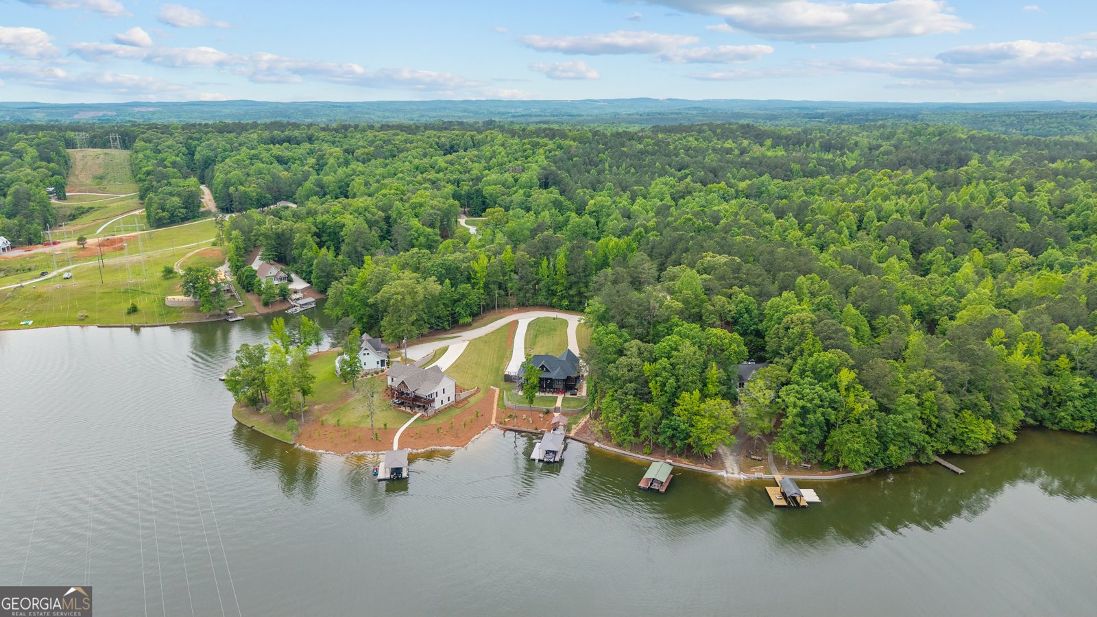 631 New Harmony Drive Wedowee - Photo 106