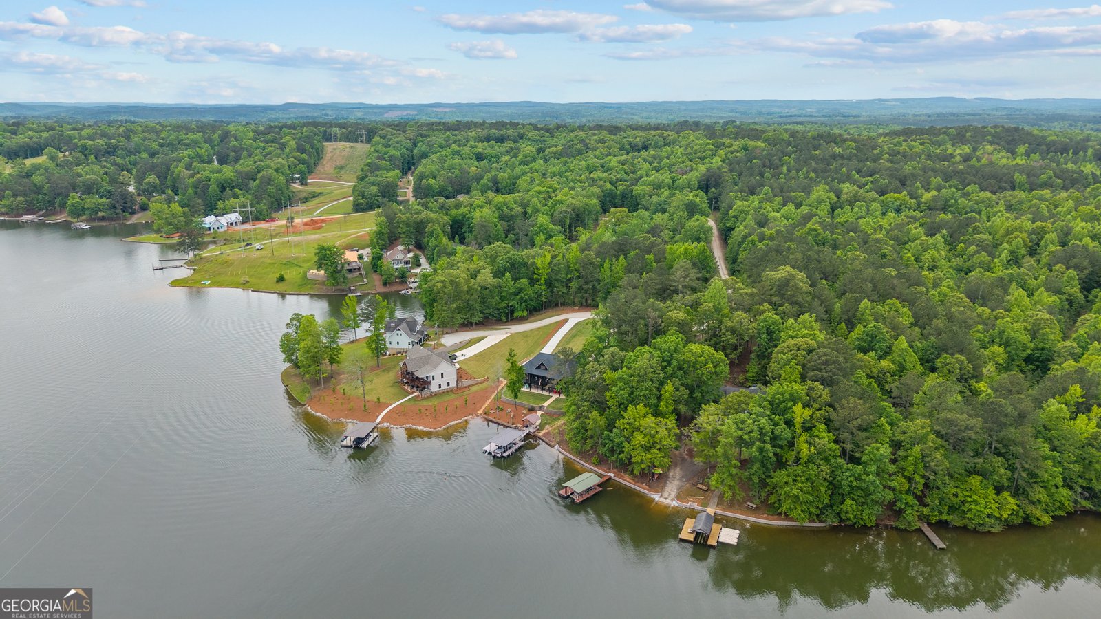 631 New Harmony Drive Wedowee - Photo 109