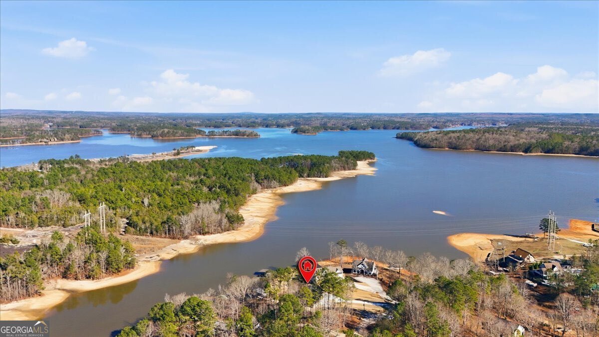 631 New Harmony Drive Wedowee - Photo 86