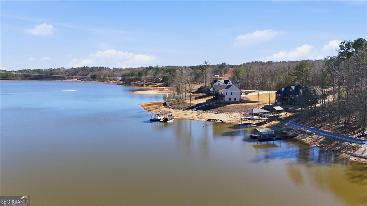 631 New Harmony Drive Wedowee - Photo 88