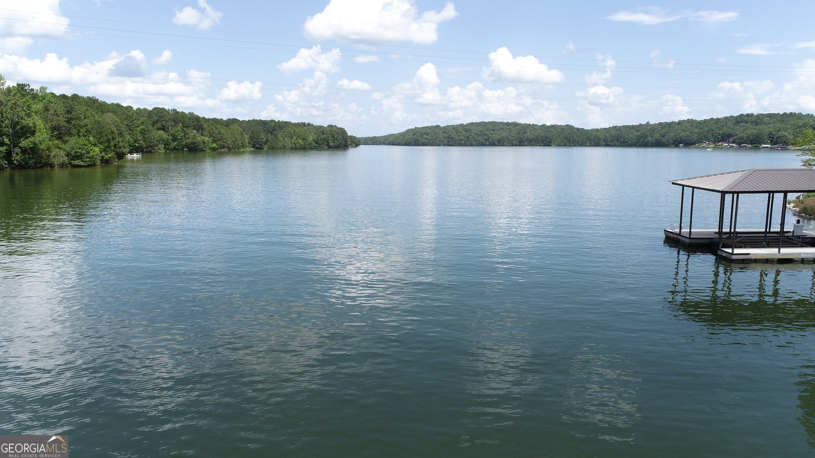 631 New Harmony Drive Wedowee - Photo 93