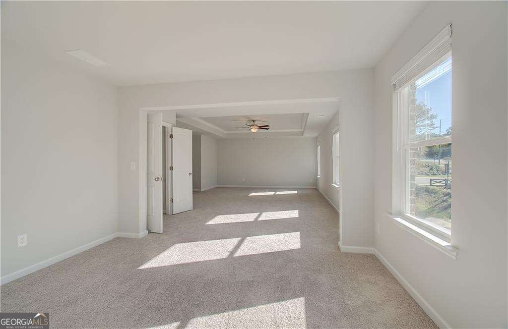 639 Leafy Branch Way Mcdonough - Photo 20